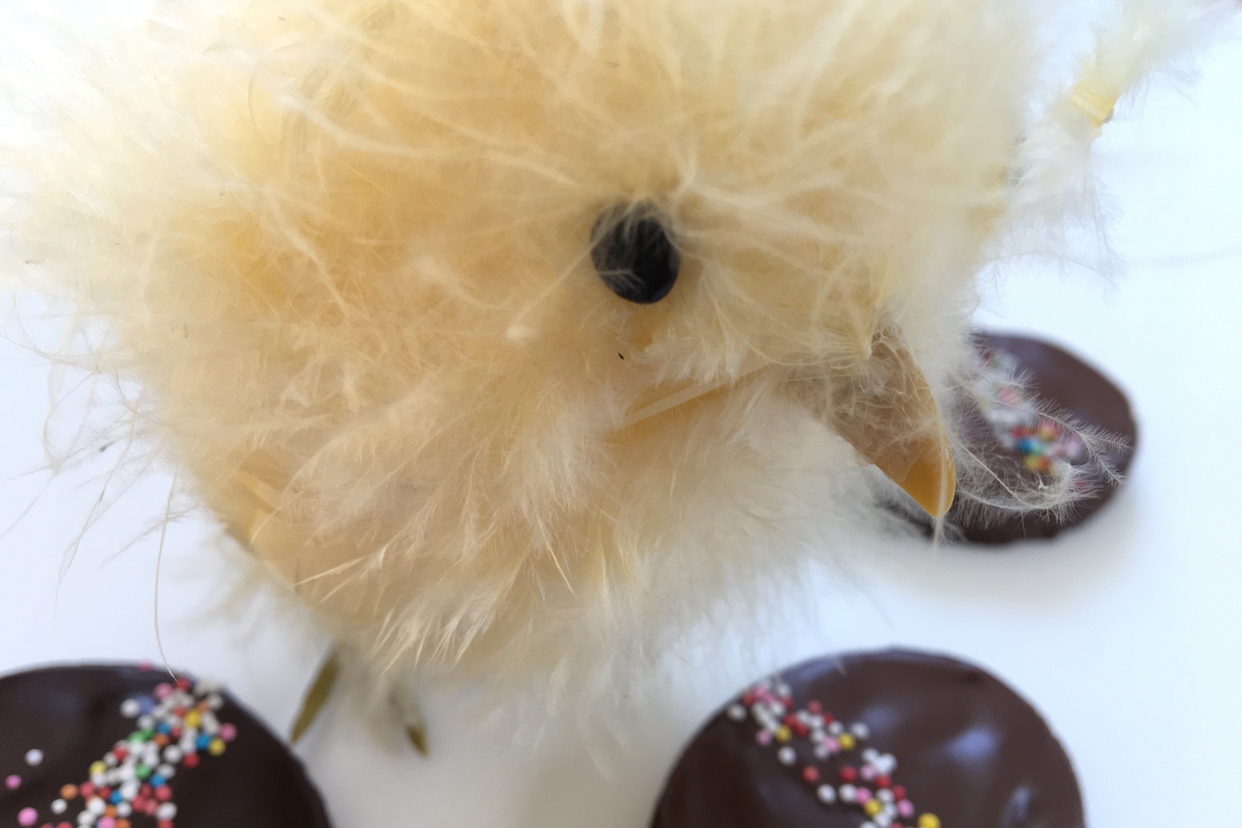 Chokoladeæg