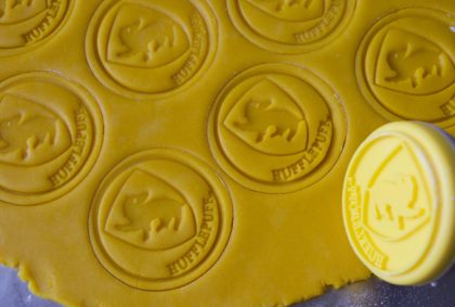 Harry Potter cookies