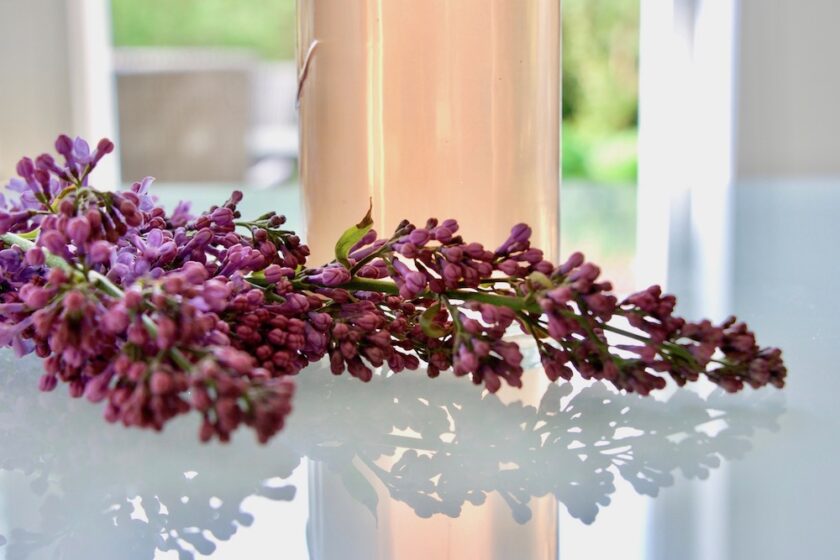 Syrensirup Bagvrk