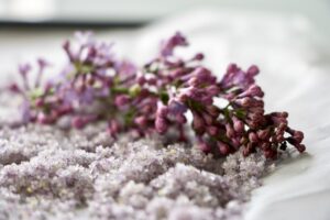 Syrensukker udvalgt billede Bagvrk.dk