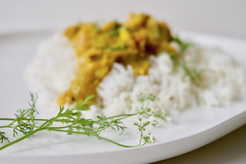 Korianderblomst med chicken tikka masala Bagvrk.dk