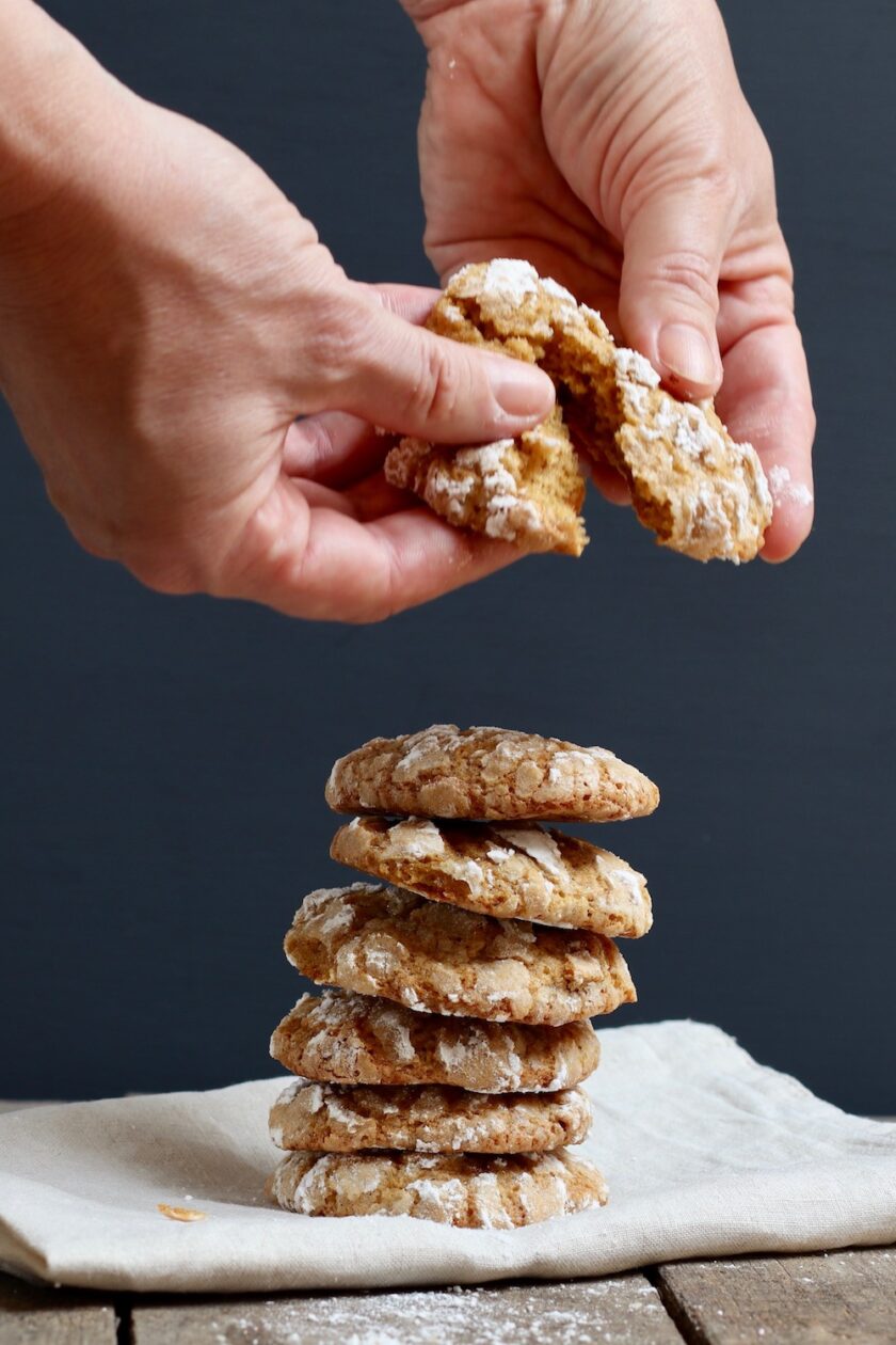 Græskarcookies brækkes over Bagvrk.dk