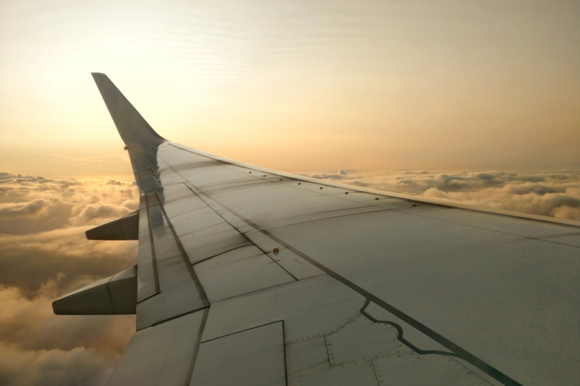 Flyvinge i solnedgang