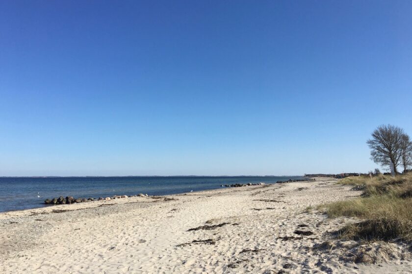 Karantænedag 1-14 Bagvrk.dk Corona