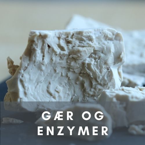 Gær og enzymer - Bagvrks Bageskole - Bagvrk.dk